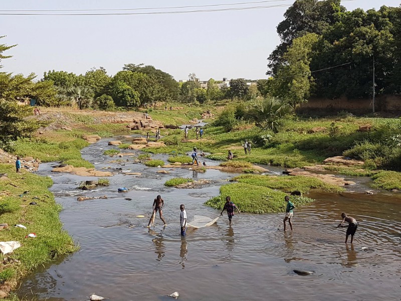 People standing in a shallow river, engaging in fishing activities with nets. The river is surrounded by green vegetation and scattered trees.