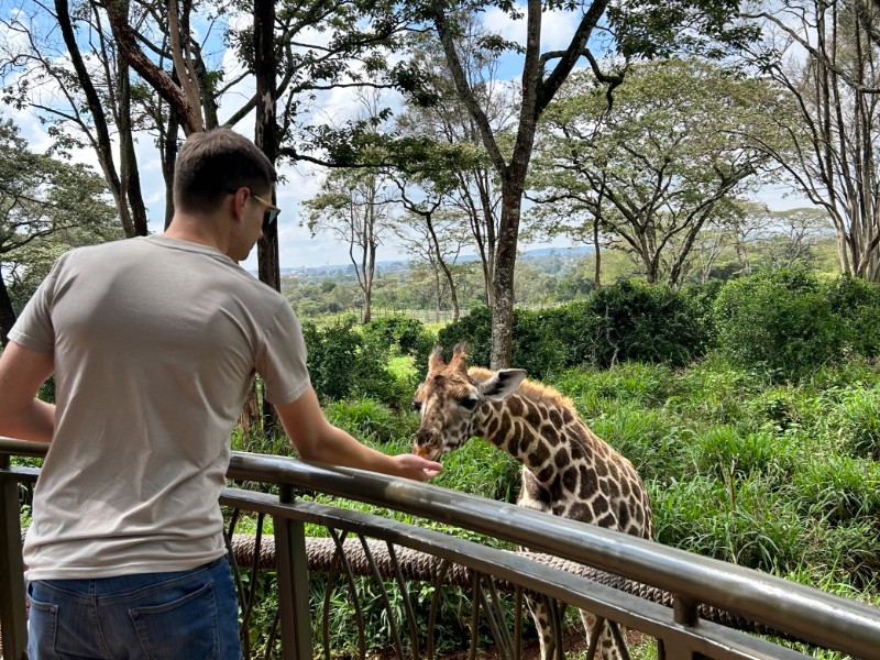 A person feeding a giraffe from a raised platform, with lush greenery and trees in the background. The person is wearing a light grey t-shirt and sunglasses.